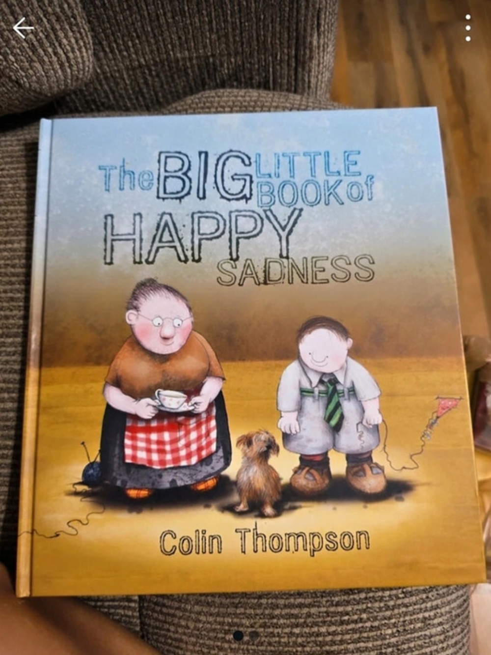 Kane Miller The Big Little Book of Happy Sadness Children's Storybook